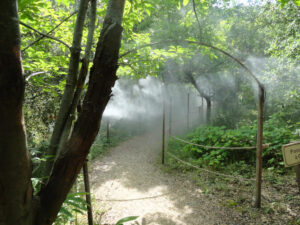 Brumisation de parcs et jardins dans le 91