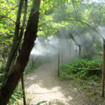 Brumisation de parcs et jardins dans le 91