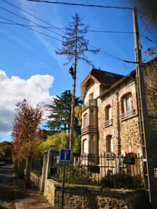 Élagage d’arbres à domicile à Étampes 91