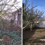 Remise en état de jardin 91