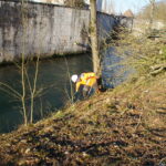 abattage d'arbres au bords de rivière dans le 91