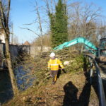 abattage d'arbres au bords de rivière dans l'Essonne