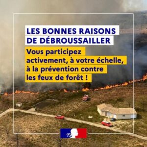 Débroussaillage obligatoire en Essonne