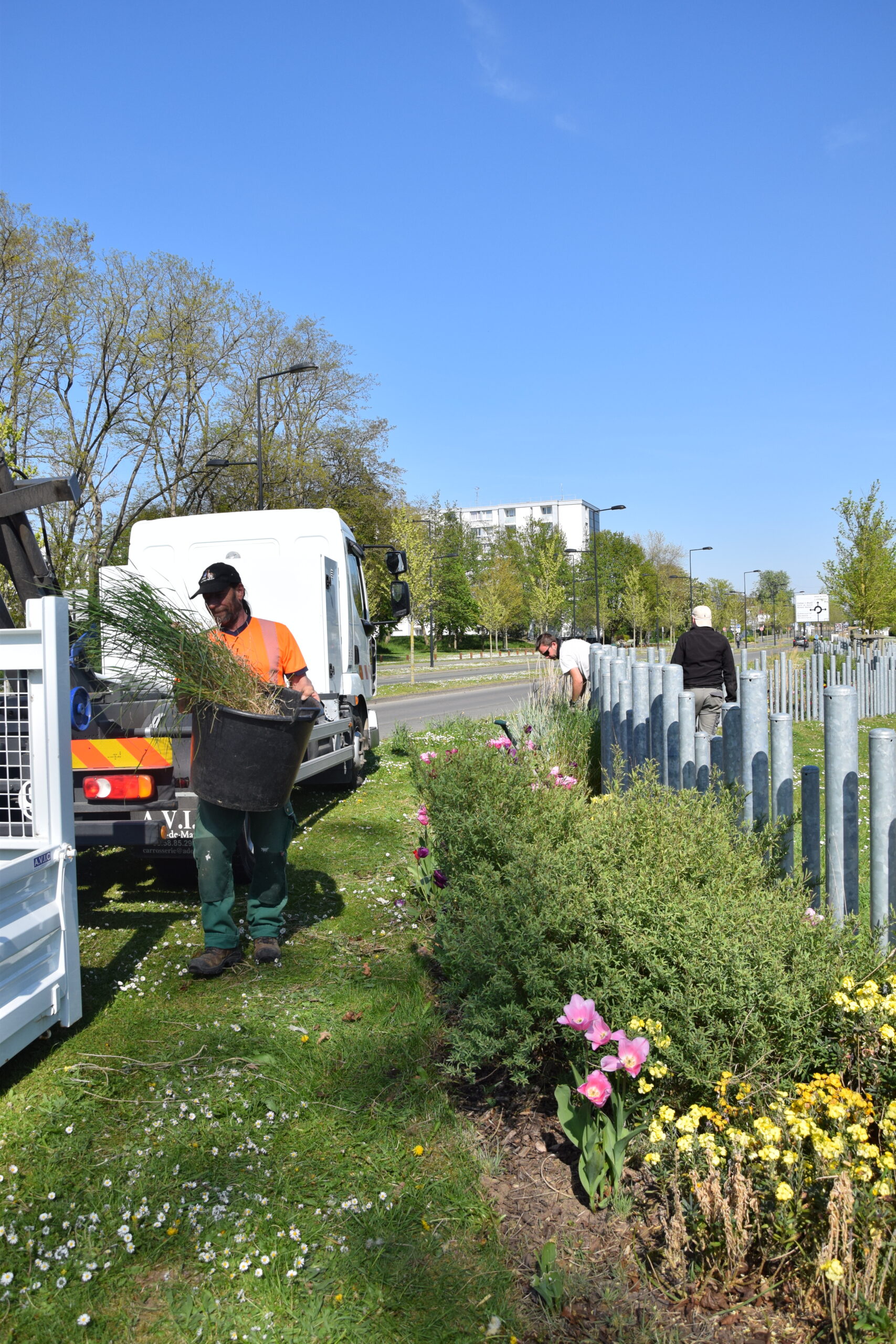 Aménagement d'espaces verts dans l'Essonne