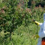 Traitement des pesticides dans le 91