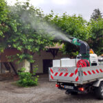 protection des arbres et arbustes dans le 91