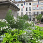 Fleurissement de Mairies 91
