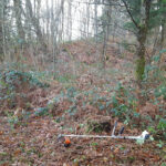 Débroussaillage de terrains en Essonne