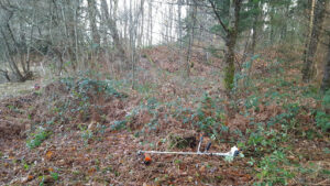 Débroussaillage de terrains en Essonne